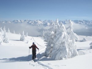 Risetestock mit Blick in die Alpen