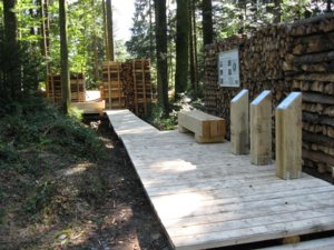 Erlebnisplattform Wald & Holz